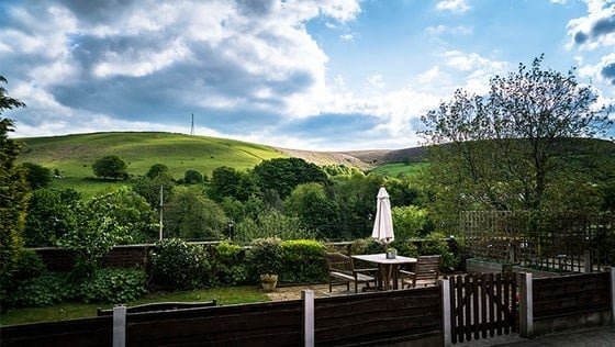 garden_outdoor