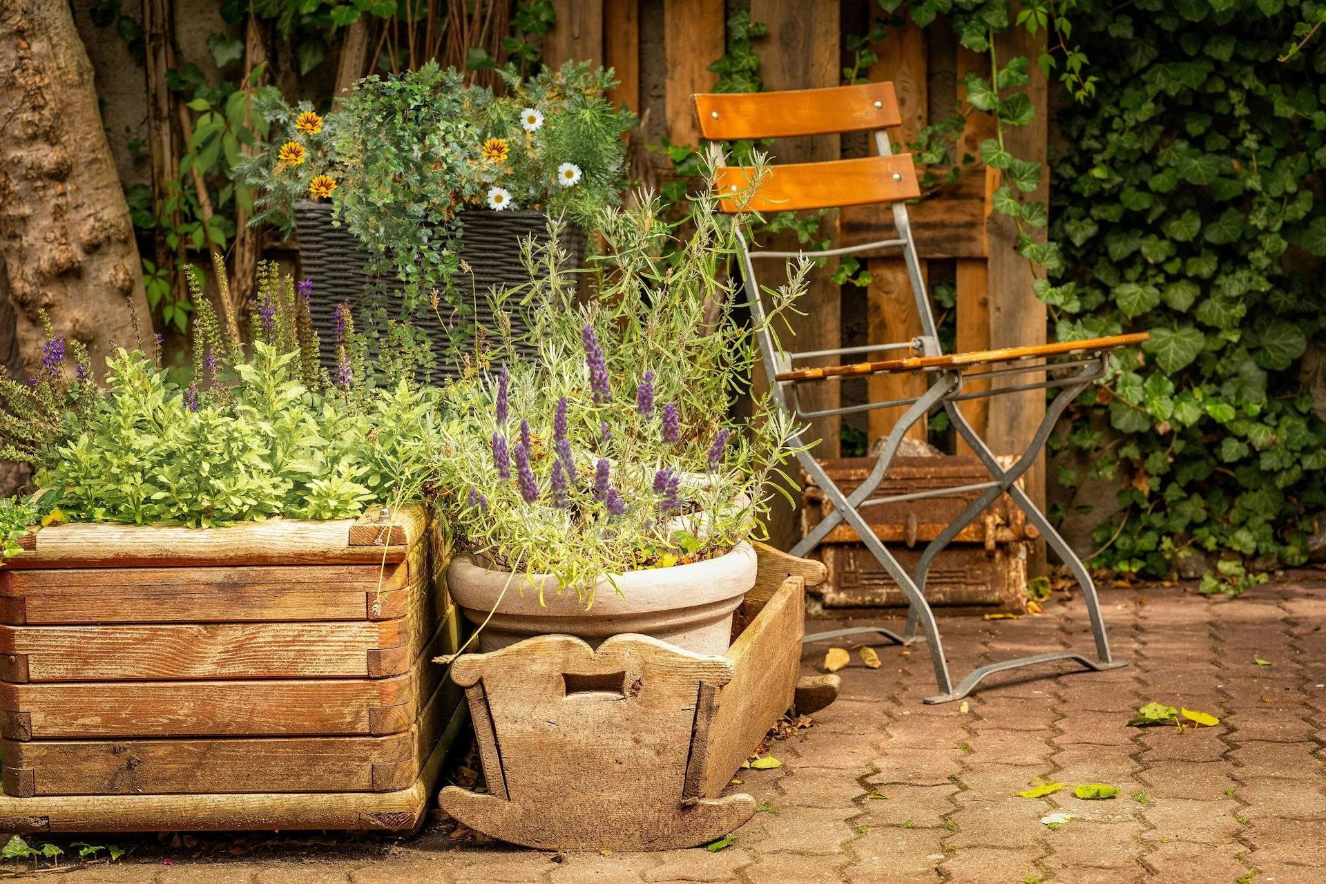 garden_outdoor