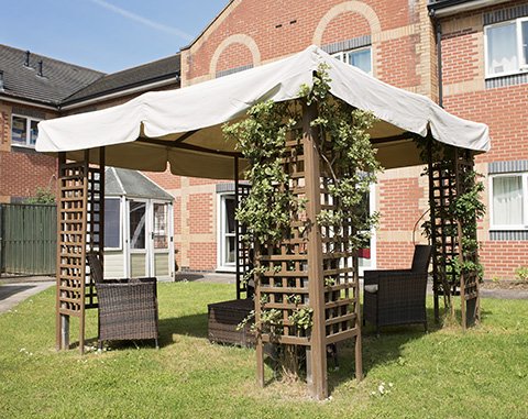 garden_outdoor