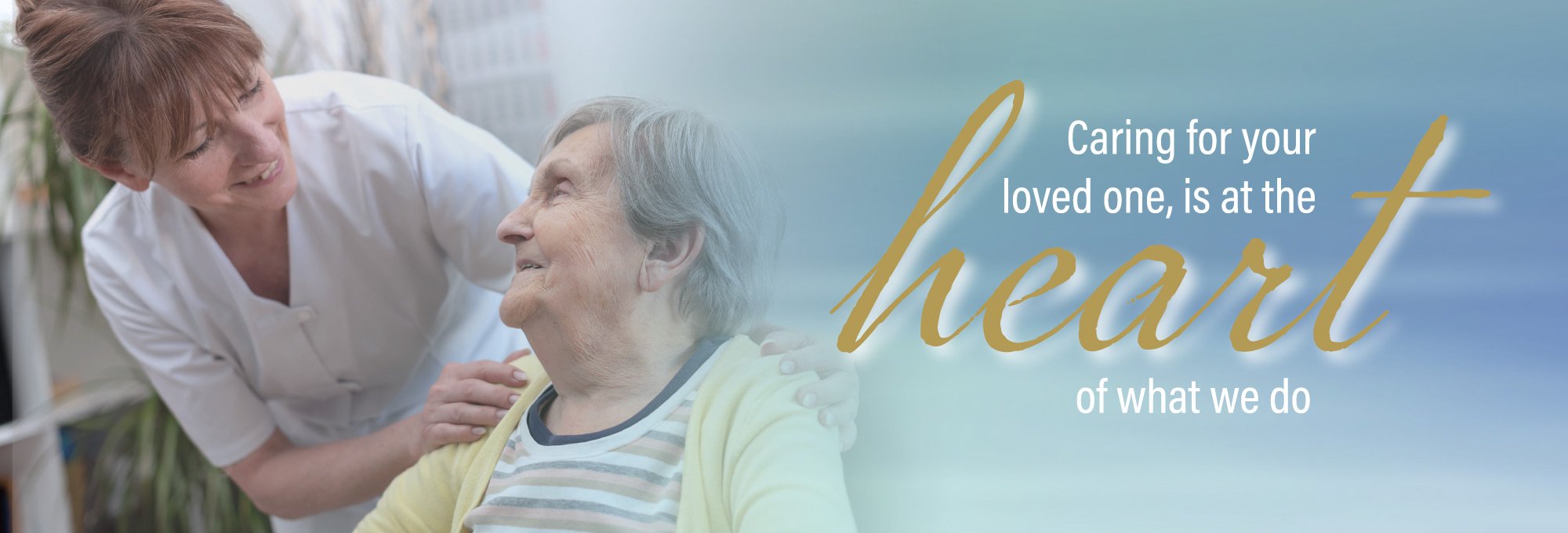 care_service