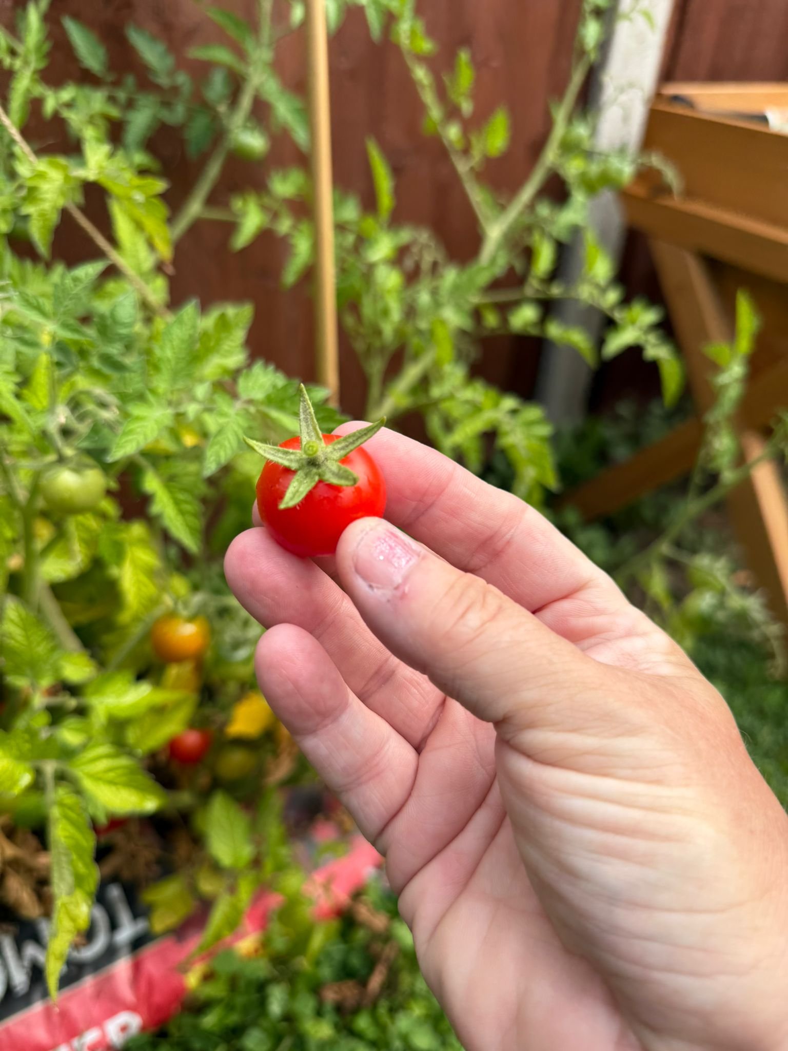 garden_outdoor