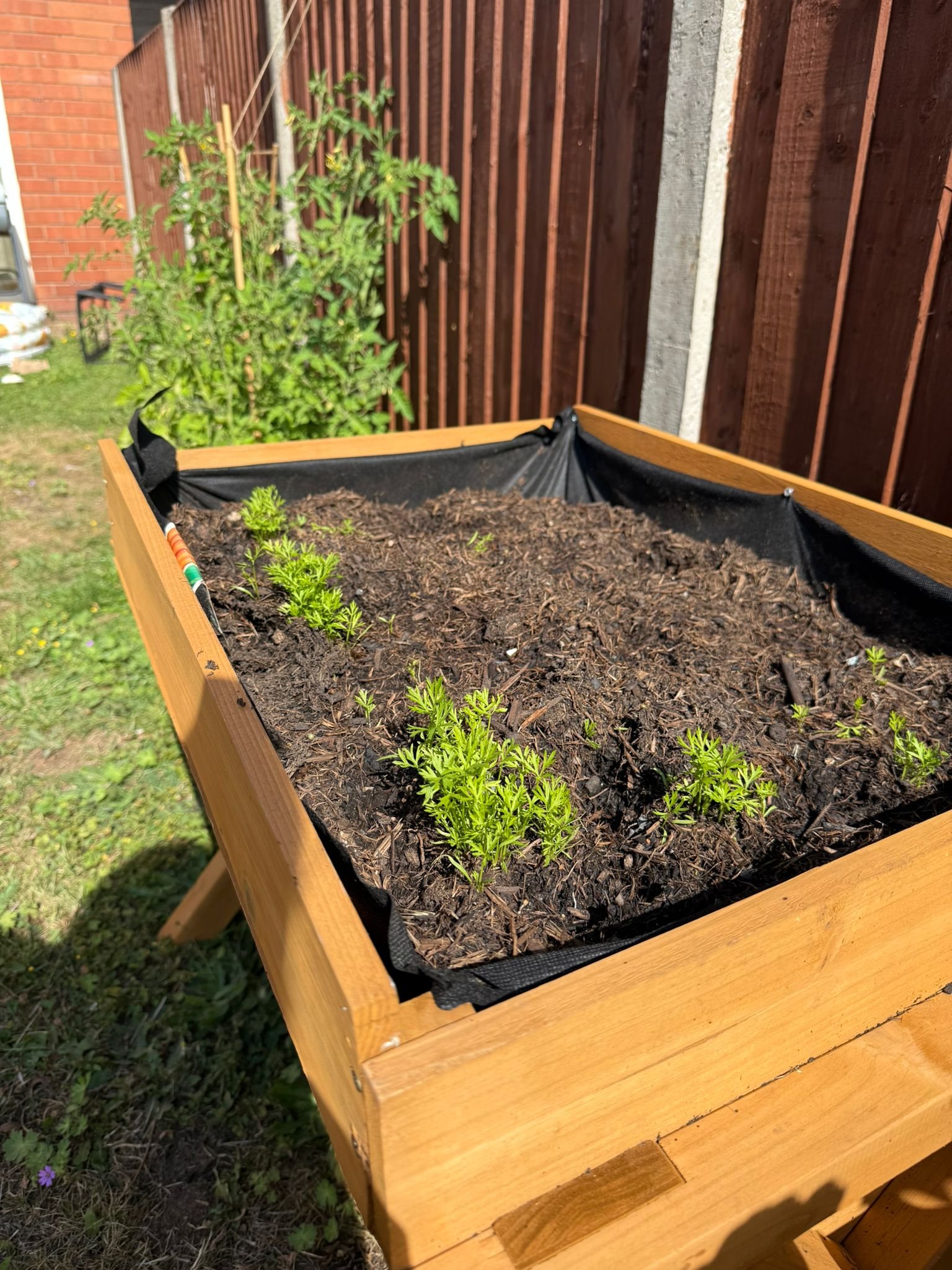garden_outdoor
