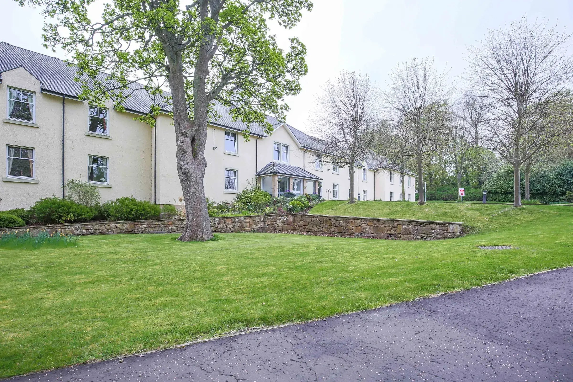 garden_outdoor