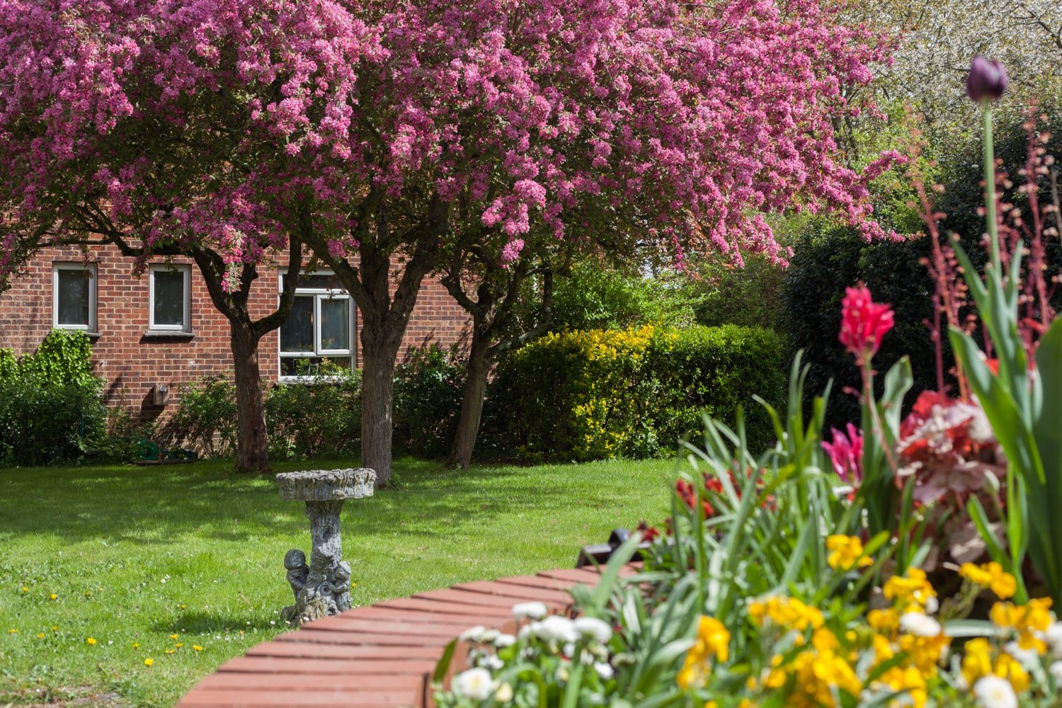 garden_outdoor