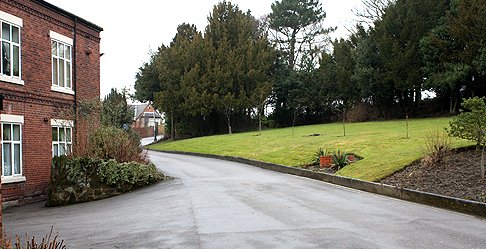 garden_outdoor