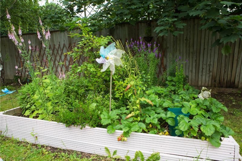 garden_outdoor