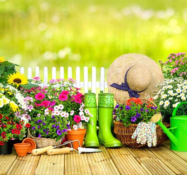 stock_photo