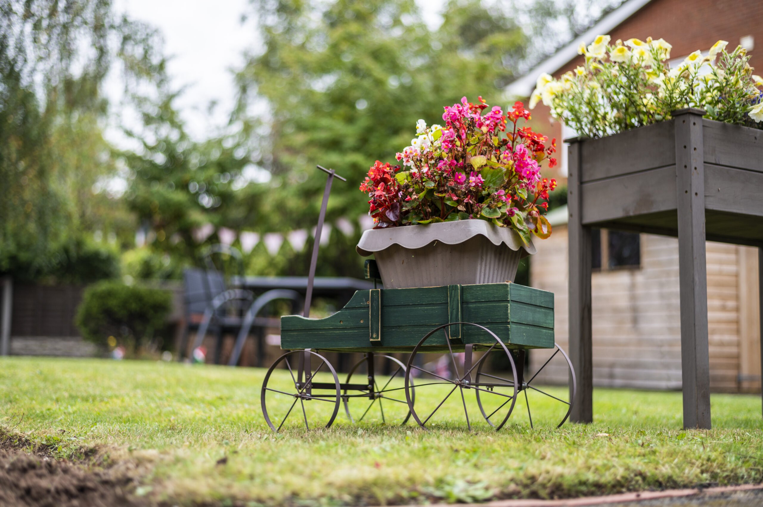 garden_outdoor